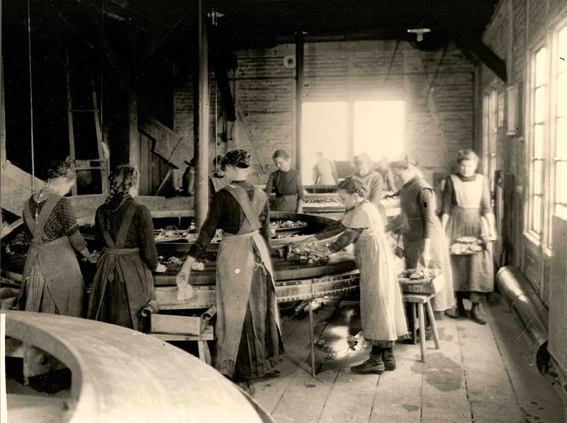 Datei:Frauenarbeit an der Sortieranlage.jpeg