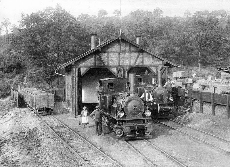Datei:Lockschuppen Steineb Kirschbaum.jpg